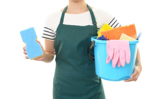 Harrow Weald carpet cleaners introducing their local professional service