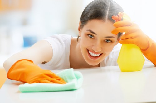 Cleaner inspecting a room and identifying hazards before service
