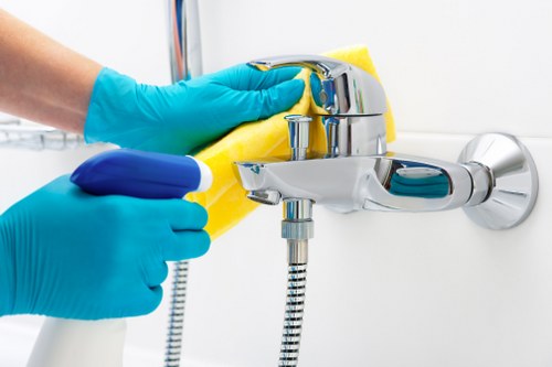 Deep cleaning treatment for pet urine stains and odours